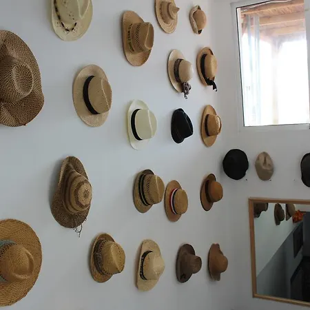 Don Peque Adult Recommended Nerja